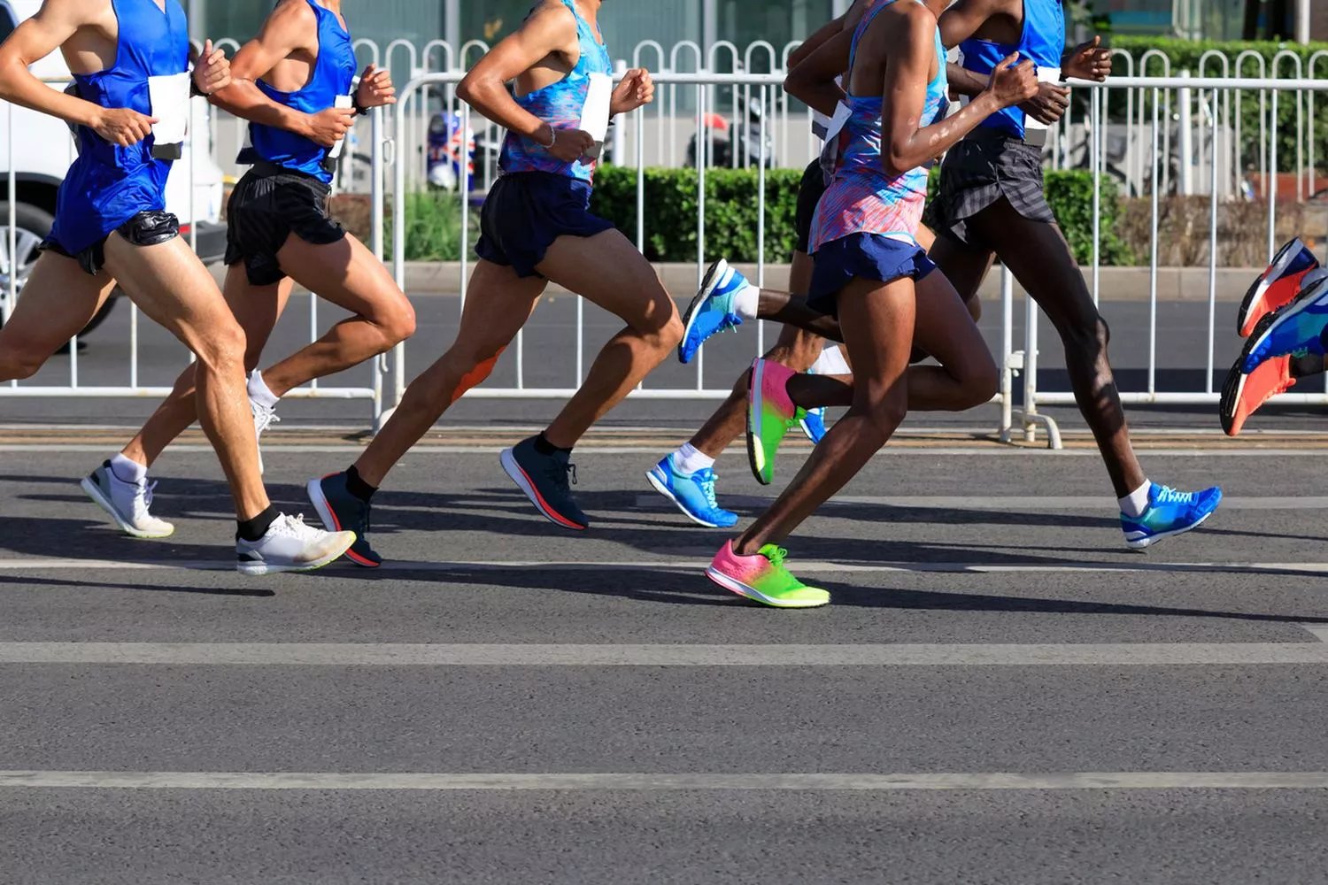 NN Dam tot Damloop 2026: jouw complete gids voor de start op 20 september
