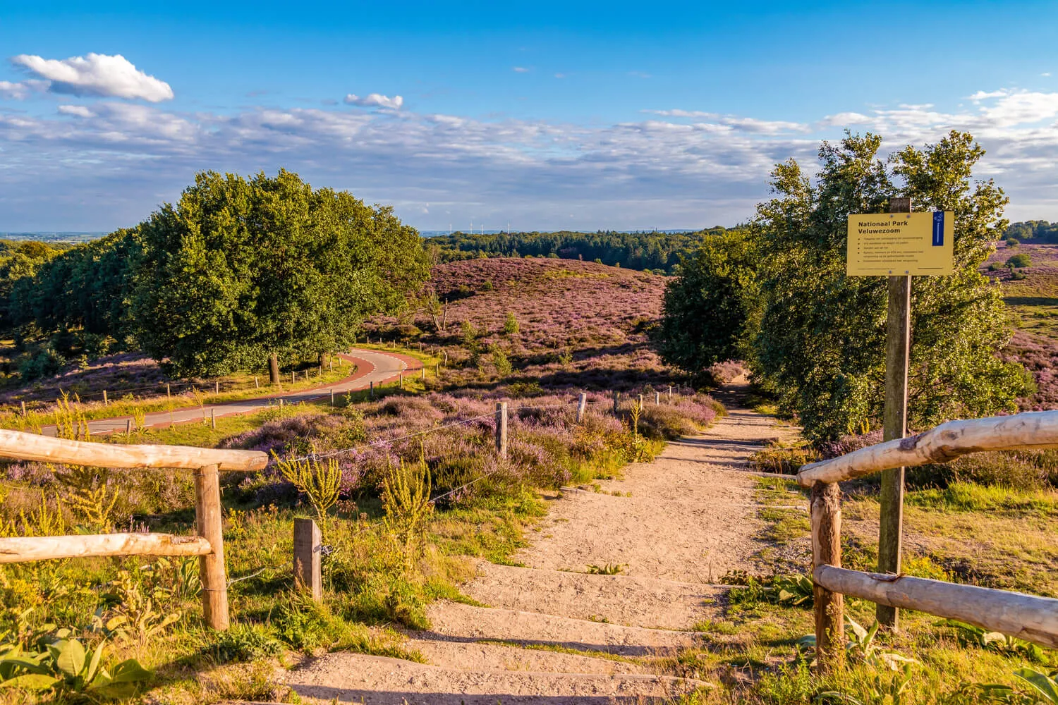 Hardlopen op de Veluwe: 6 iconische events die je móet ervaren