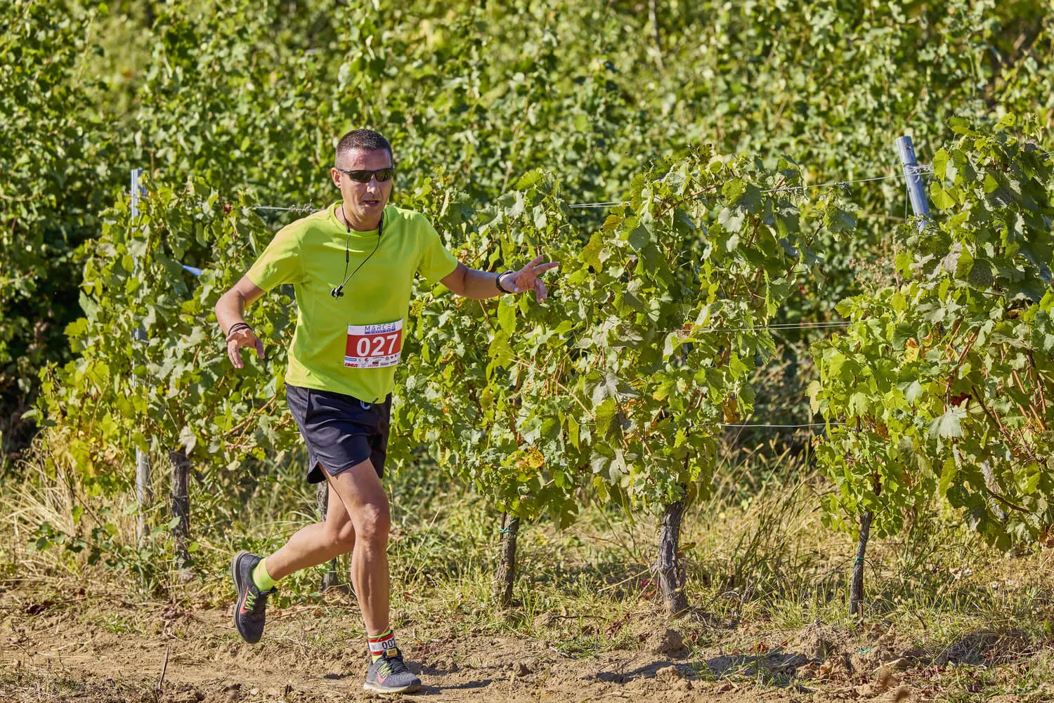 Marathon du Beaujolais: hardlopen tussen de Franse wijngaarden