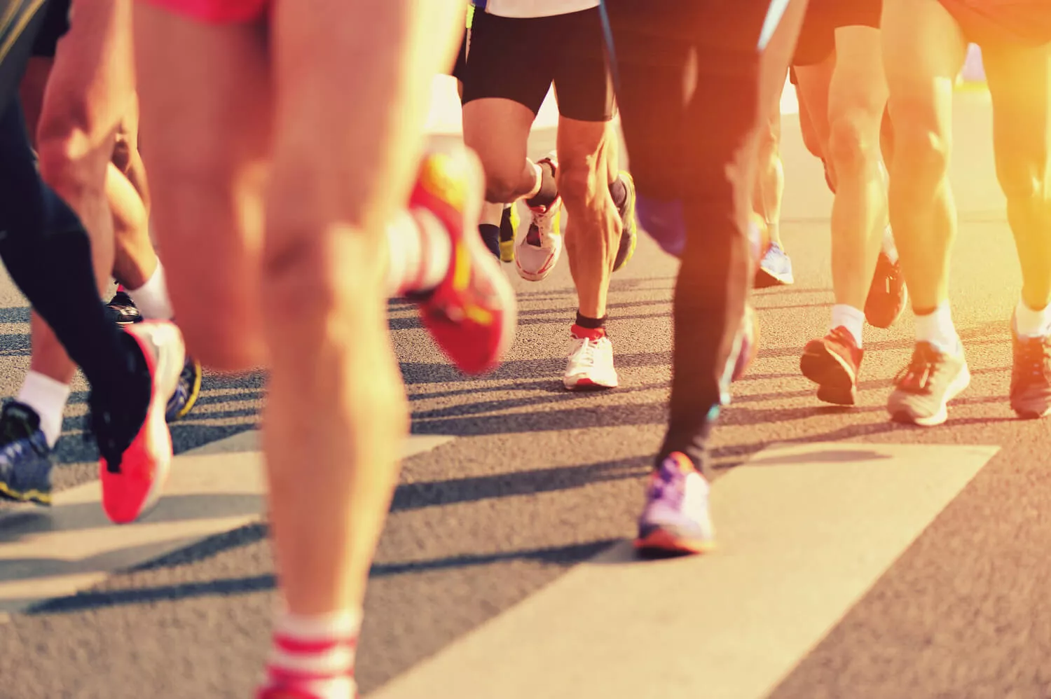 Hardloopkalender juli 2025: van polder tot trail