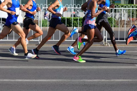 NN Dam tot Damloop 2026: jouw complete gids voor de start op 20 september