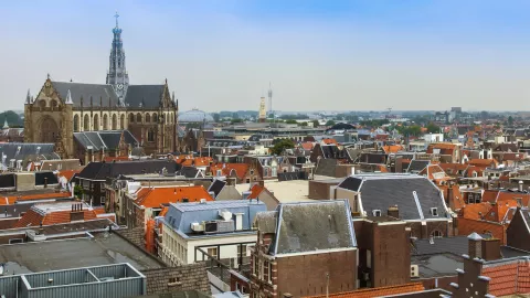 Hardlopen in Haarlem: de mooiste events