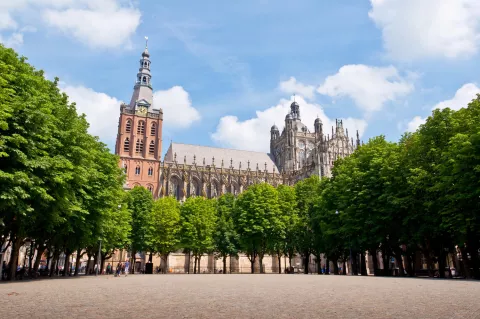 Hardlopen in Den Bosch: de mooiste events in 2025